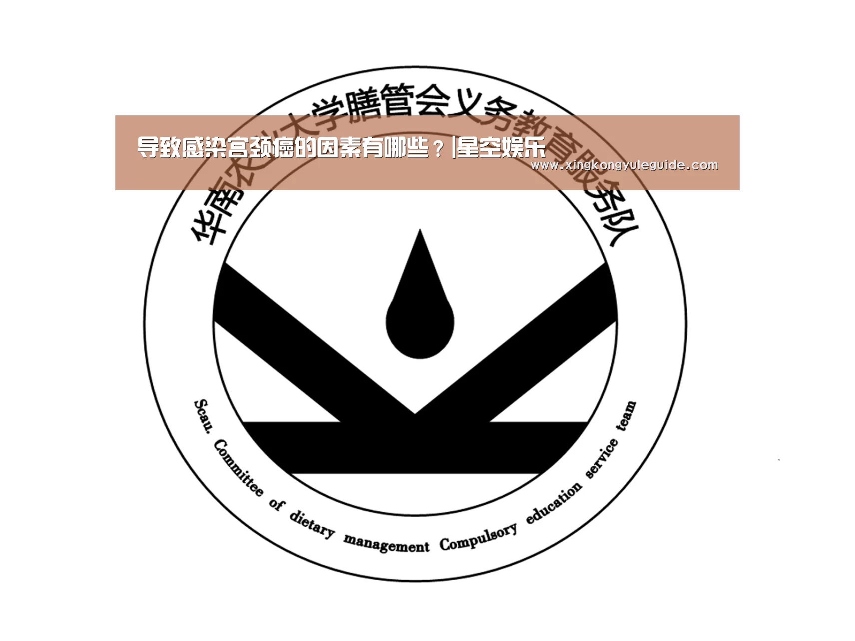导致感染宫颈癌的因素有哪些?|星空娱乐(图2) 星空官网