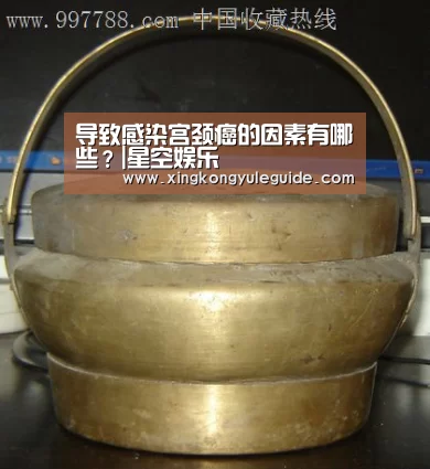 导致感染宫颈癌的因素有哪些?|星空娱乐(图1) 星空游戏官网
