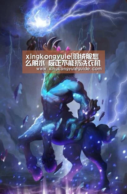 xingkongyule|羽绒服怎么脱水 反正不能扔洗衣机里否则没法穿(图3) 星空游戏官网