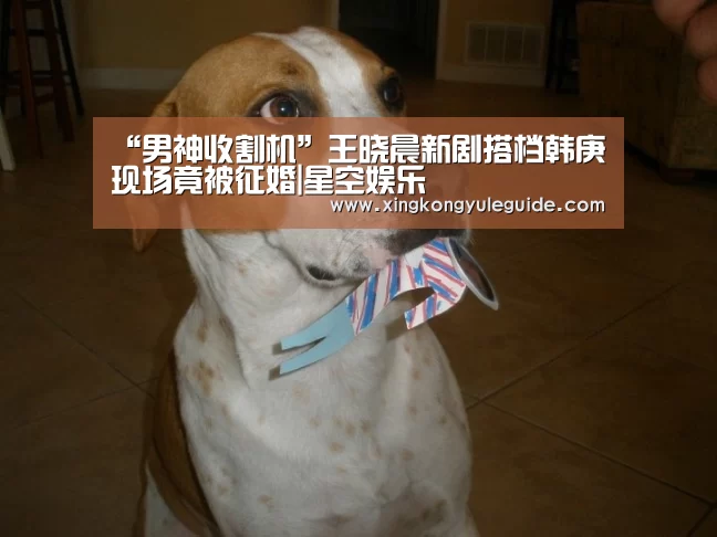 “男神收割机”王晓晨新剧搭档韩庚 现场竟被征婚|星空娱乐(图1) “男神收割机”王晓晨新剧搭档韩庚 现场竟被征婚|星空娱乐(图1)