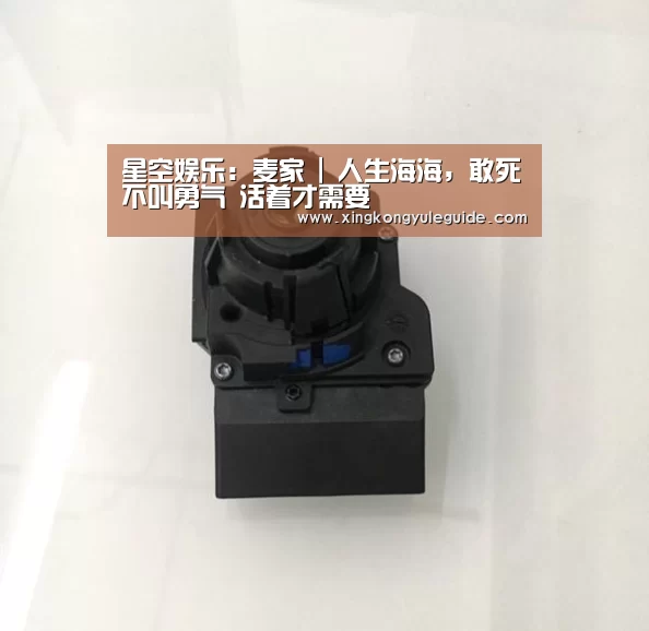 星空娱乐:麦家 | 人生海海,敢死不叫勇气 活着才需要(图1) 星空游戏官网