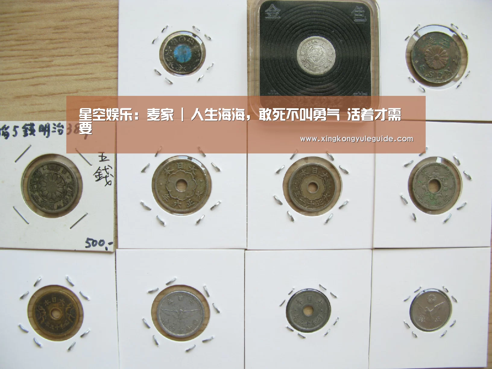 星空娱乐:麦家 | 人生海海,敢死不叫勇气 活着才需要(图2) 星空游戏官网